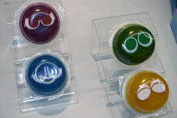 ꡼ No.028 | ֤פפ襰ץ 2024 եʥ׸ϥݡȡ20롼ϥޥå꤬٥̤ͥ