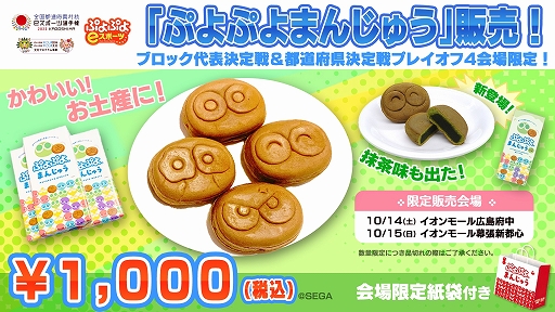 画像ギャラリー No.009のサムネイル画像 / 全国都道府県対抗eスポーツ選手権 2023 KAGOSHIMA「ぷよぷよ部門」,北海道ブロック代表選手が決定