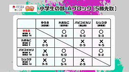 画像ギャラリー No.010のサムネイル画像 / 全国都道府県対抗eスポーツ選手権 2023 KAGOSHIMA「ぷよぷよ部門」鹿児島本大会,小学生/一般の部の優勝者が決定