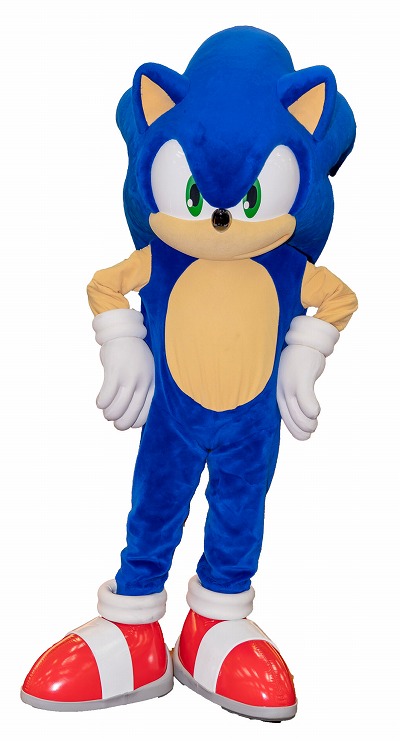 ꡼ No.018Υͥ / ƻܸйeݡ긢 2024 SAGA פפס֥åɽ꤬