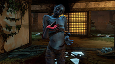 ���������꡼ No.009�Υ���ͥ������ / ���Х��Х�ۥ顼��Dead by Daylight�פ�PS4�����ѥå������Ǥ�11��29���˹���ȯ�䡣�����䤷����̮�פʤ�2����ץ�����2�����ƥब��°
