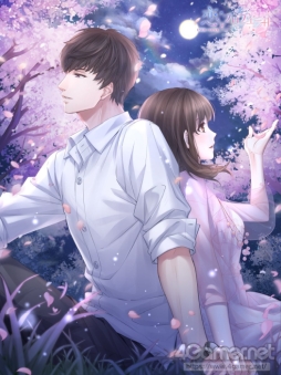 ꡼ No.017 | ֲå4Gamer214üǽϤ륹ȡ꡼ڤȥץǥ塼 EVOLLOVEפý