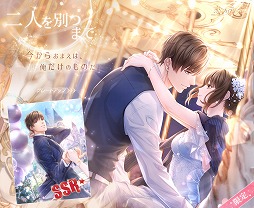 ꡼ No.005 | ȥץǥ塼EVOLLOVEס1ǯ٥ȡֹιԿʶʡפ