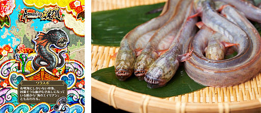 ���������꡼ No.008�Υ���ͥ������ / �֥��ޥ���RS�פ˺��츩�Υޥåפ��о졣�֥��ޥ󥷥󥰺�����緿����ܤ�������������