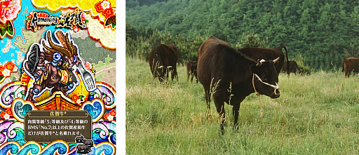 ���������꡼ No.009�Υ���ͥ������ / �֥��ޥ���RS�פ˺��츩�Υޥåפ��о졣�֥��ޥ󥷥󥰺�����緿����ܤ�������������