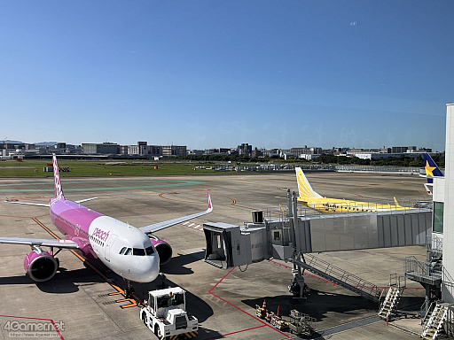 ꡼ No.001 | Žһ᤿Ƚ֥ޥ󥷥󥰺2025ƱԵԡˡͭĤȰΤǽвä"ð"Ȥ