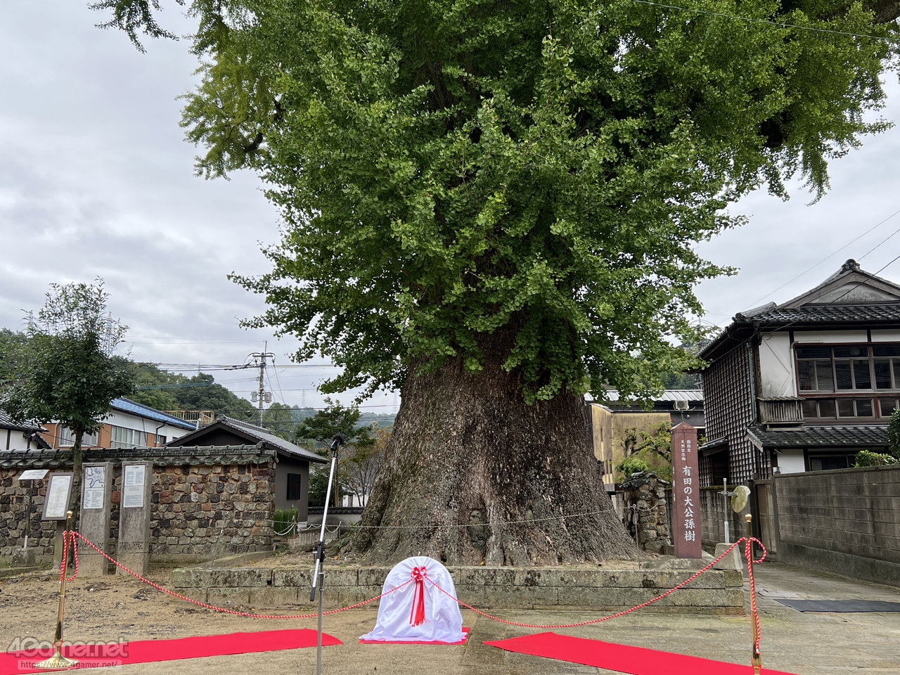 ꡼ No.007 | Žһ᤿Ƚ֥ޥ󥷥󥰺2025ƱԵʸԡˡικǸԤäƤΡϺǽǤϤʤʤλϤޤ