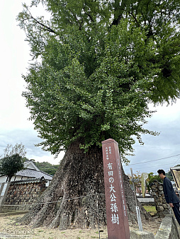 ꡼ No.005 | Žһ᤿Ƚ֥ޥ󥷥󥰺2025ƱԵʸԡˡικǸԤäƤΡϺǽǤϤʤʤλϤޤ