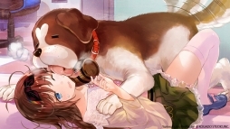 ꡼ No.003 | TGS 2018ϡ̴ReMasterפ2019ǯ2ȯ䡣Ʋ ޤꤹΡȥդ塞륺֥ADV