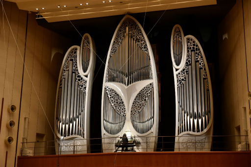 ꡼ No.006 | ֥ޥ󥷥  ȥסץݡȡ꡼ե˸̤20ʤաȯɽ