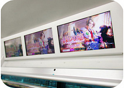 ���������꡼ No.005�Υ���ͥ������ / ���Ť��ɱ��Pocket�ס�����Ƿǽ���Ρ֤��Хݥ�����פ򸫤Ĥ��Ƽ̿�����Ƥ���Twitter�����������ڡ��󤬳���