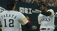 ꡼ No.006 | ֥ץ她ԥå2019ס2020Ǥؤ̵åץǡȤ422˼»ܡåơϯ䥯ȡ꤬о