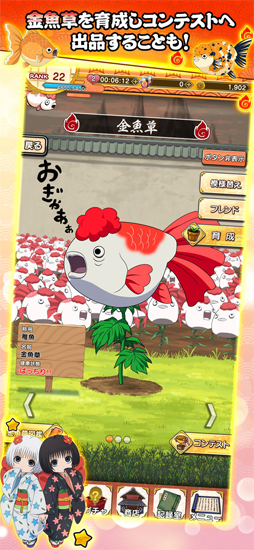 ��������Ű���Ϲ��Υѥ���ⷯ����