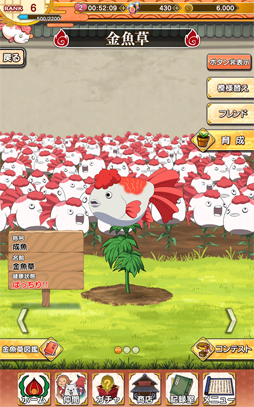 ��������Ű���Ϲ��Υѥ���ⷯ����