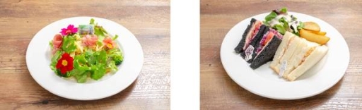 ꡼ No.005 | ո4ۤǥ˥֥ɥȡ饤 ꥷפΥܥե323鳫