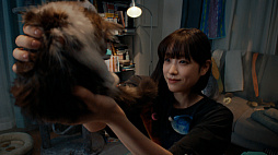 ꡼ No.009Υͥ / Meta Quest 2ޫʿ&#x9AD9;Ҥ뤵󡤻Ƿ⤹󤬽б餹뿷ʥƥCMǤ򳫻