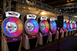 ꡼ No.005Υͥ / ꥺॲWACCAפ̵θ񤬽缡šԤHARDCORE TANO*CСо줷ݡ