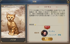 ꡼ No.007Υͥ / ҳ桼ȥԥס¿οǽʤɤɲä緿åץǡȤƤ