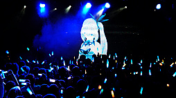 ꡼ No.001 | ޥեĤ󼡸褤429֤ͤޥեߥ饤Υ