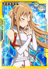 ꡼ No.014 | SAO AC ǥסץ顼פ3ǯľڡ31˥