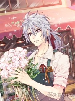 ꡼ No.003 | ֲå4Gamer239󡧲İ餷ֲֿͷʥꥹˡפ夻ؤڤAlice Closetפý