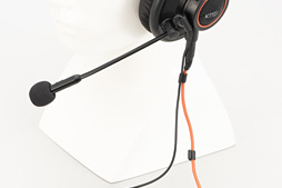 ꡼ No.015 | ModMicץӥ塼ΥإåɥեإåɥåȲǤǥХϡ㤤פ