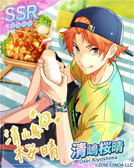 ꡼ No.009 | ֥ɥܡסĻëΤθSSRɤо줹뿷٥Ȥ򳫺