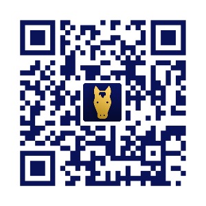 ꡼ No.002 | ץʥåVIPSTARDAppsγȯޡƥ󥰤ˤĤƥѡȥʡåȤ