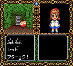 ꡼ No.006 | PicoPicoפΥॢåǽ̵ȯɽƳʪAפʤɿбȥɲä