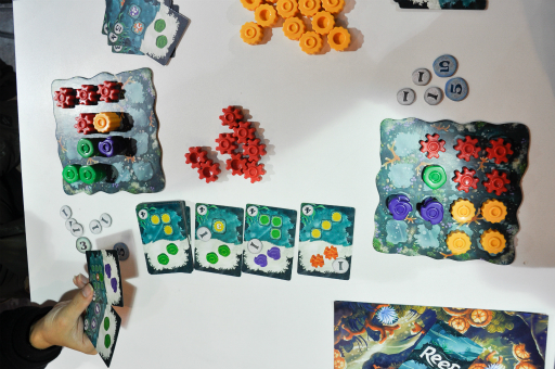 ꡼ No.001Υͥ / SPIEL'18ϤۤΥץ쥤䡼ФȴĤġʬΥ󥴾̤ƤReefפͷǤߤ