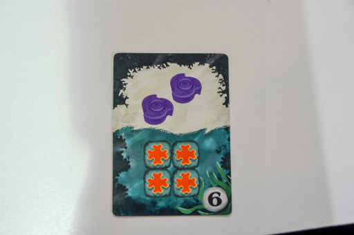 ꡼ No.003Υͥ / SPIEL'18ϤۤΥץ쥤䡼ФȴĤġʬΥ󥴾̤ƤReefפͷǤߤ