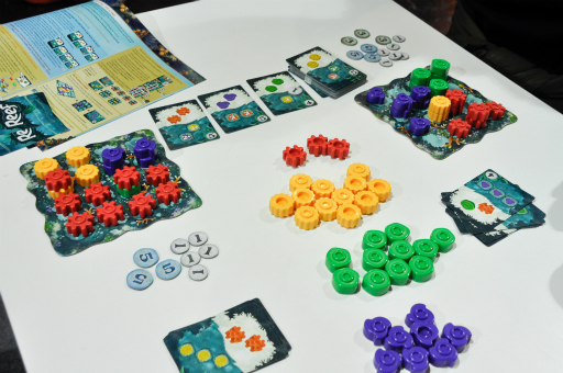 ꡼ No.005Υͥ / SPIEL'18ϤۤΥץ쥤䡼ФȴĤġʬΥ󥴾̤ƤReefפͷǤߤ