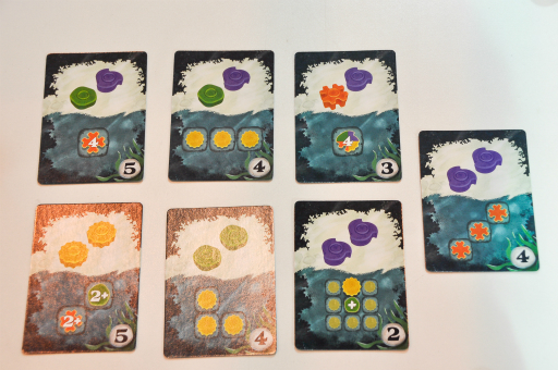 ꡼ No.009Υͥ / SPIEL'18ϤۤΥץ쥤䡼ФȴĤġʬΥ󥴾̤ƤReefפͷǤߤ