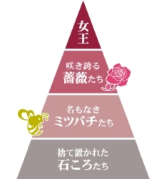 ꡼ No.008Υͥ / PS4ǡгرפȯ2019ǯ110˷ꡣʥ٥ȥɲä