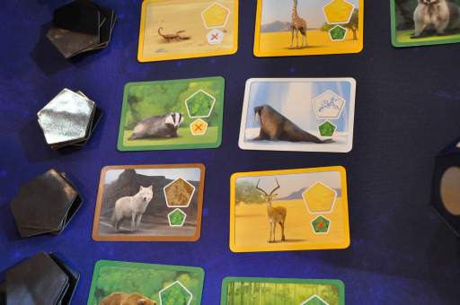 ꡼ No.013 | SPIEL'18ưʪãߤ䤹12ΤݡͥȤȥॷƥ򤵤PlanetפΥץ쥤ݡ