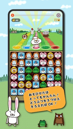 いっぱい!どうぶつこいこい