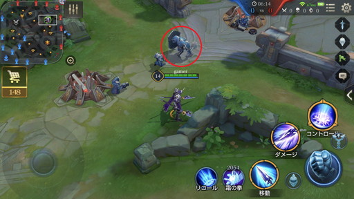 画像ギャラリー No.019のサムネイル画像 / 「伝説対決」ジャングル育ちが脅威となるには。「ゼフィス」でジャングラーの動き方を解説