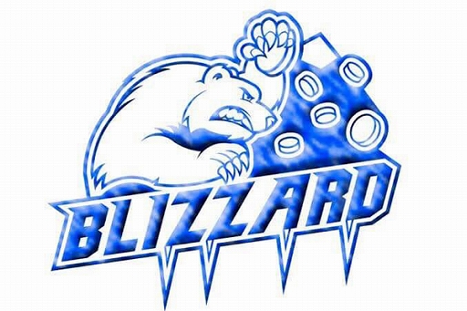 ꡼ No.005 | Arena of Valor World Cup 2019פɽBLIZZARDפо졣פҲ