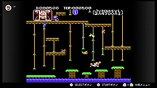 ���������꡼ No.011�Υ���ͥ������ / �֥��륯����ɡס֥ɥ󥭡�����JR.�ס�VS.���������ȥХ����פ�5��15�����ɲäء�Nintendo Switch Online��������