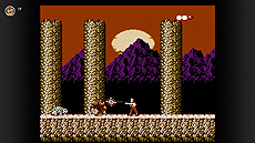 ���������꡼ No.005�Υ���ͥ������ / �֥��르������Ρס֥ѥͥ�ǥݥ�פʤ�4�5��20�����ɲäء��֥ե��ߥ���������ե��� Nintendo Switch Online�׹�������