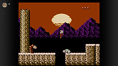 ���������꡼ No.009�Υ���ͥ������ / �֥��르������Ρס֥ѥͥ�ǥݥ�פʤ�4�5��20�����ɲäء��֥ե��ߥ���������ե��� Nintendo Switch Online�׹�������