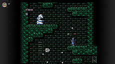 ���������꡼ No.014�Υ���ͥ������ / �֥��르������Ρס֥ѥͥ�ǥݥ�פʤ�4�5��20�����ɲäء��֥ե��ߥ���������ե��� Nintendo Switch Online�׹�������