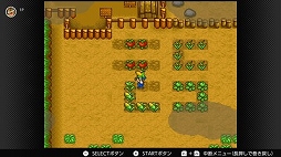 画像ギャラリー No.003のサムネイル画像 / 「牧場物語」「ディグダグII」「マッピーランド」が“ファミリーコンピュータ&スーパーファミコン Nintendo Switch Online”に登場