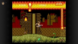 ꡼ No.013 | ⳦¼ס֥ѡǦפʤ4ȥ뤬 ᥬɥ饤 for Nintendo Switch Onlineо