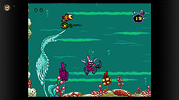 ꡼ No.008Υͥ / ϵIIס֥٥ޥפʤɤ3ȥ롤 ᥬɥ饤 for Nintendo Switch Onlineۿ