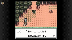 ���������꡼ No.003�Υ���ͥ������ / �֥����ӥ��Τ��餭�餭�ä��ס֥ͥ᥷��II�פʤɡ�4�����ȥ뤬�֥�����ܡ��� Nintendo Switch Online�׸������ۿ�����