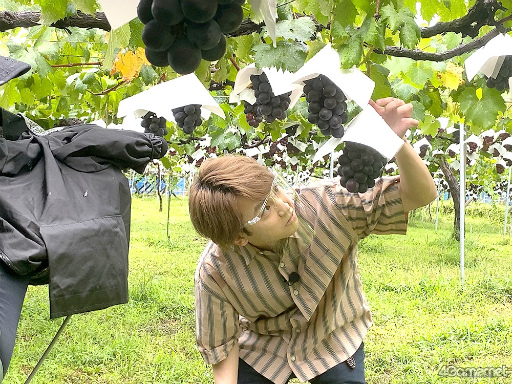 ���������꡼ No.005�Υ���ͥ������ / �֤��󥹥��������ۿ����ȡ�CAFE CINNAMON �˥������å������5���Ͽ�����������ݡ��ȡ����Ƚ�β��������ǥե롼�ĥݥ����Ĥ��롪