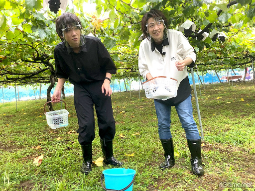 ���������꡼ No.006�Υ���ͥ������ / �֤��󥹥��������ۿ����ȡ�CAFE CINNAMON �˥������å������5���Ͽ�����������ݡ��ȡ����Ƚ�β��������ǥե롼�ĥݥ����Ĥ��롪