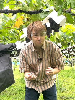 ���������꡼ No.007�Υ���ͥ������ / �֤��󥹥��������ۿ����ȡ�CAFE CINNAMON �˥������å������5���Ͽ�����������ݡ��ȡ����Ƚ�β��������ǥե롼�ĥݥ����Ĥ��롪