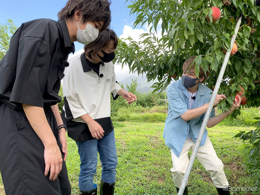 ���������꡼ No.012�Υ���ͥ������ / �֤��󥹥��������ۿ����ȡ�CAFE CINNAMON �˥������å������5���Ͽ�����������ݡ��ȡ����Ƚ�β��������ǥե롼�ĥݥ����Ĥ��롪